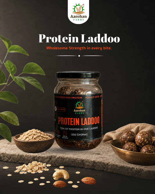 Protein Laddoo (500 GM)