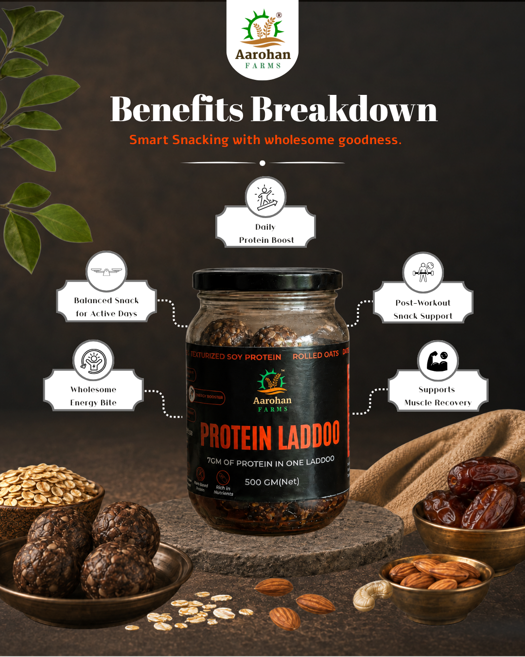 Protein Laddoo (500 GM)